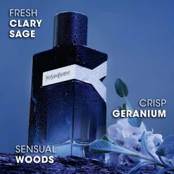 Yves Saint Laurent Y Eau de Parfum Spray 100ml Gift Set